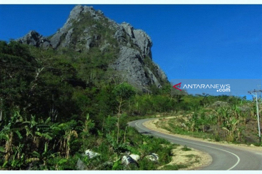Atraksi budaya sambut pengusaha di gunung Fatuleu - ANTARA Atraksi budaya sambut pengusaha di gunung Fatuleu - ANTARA