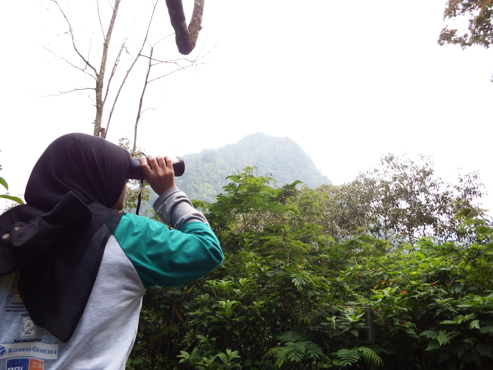 Birdwatching Competition: Asah Kepekaan Lingkungan Lewat Birdwatching Competition: Asah Kepekaan Lingkungan Lewat