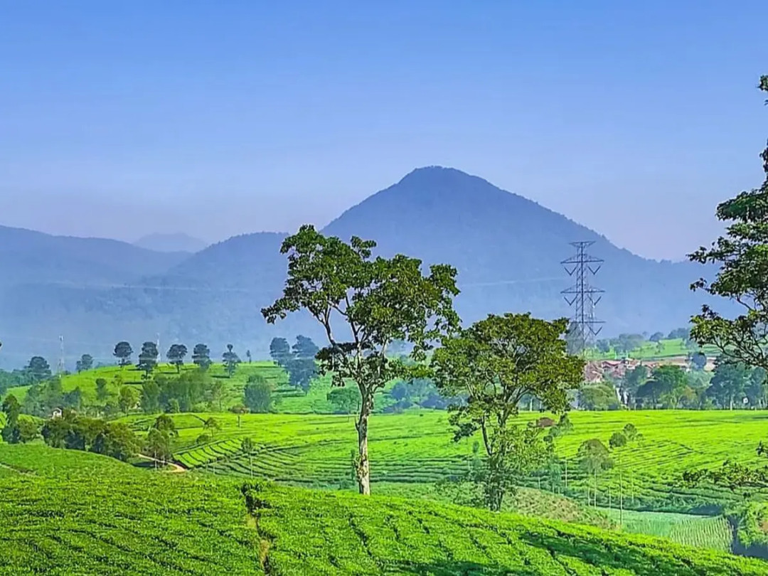 Fakta Menarik Gunung Tilu di Kuningan yang Punya Situs Batu Naga Fakta Menarik Gunung Tilu di Kuningan yang Punya Situs Batu Naga
