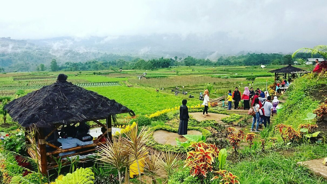 Membuka Peluang Baru: Pengembangan Desa Wisata Berbasis Ekowisata Membuka Peluang Baru: Pengembangan Desa Wisata Berbasis Ekowisata