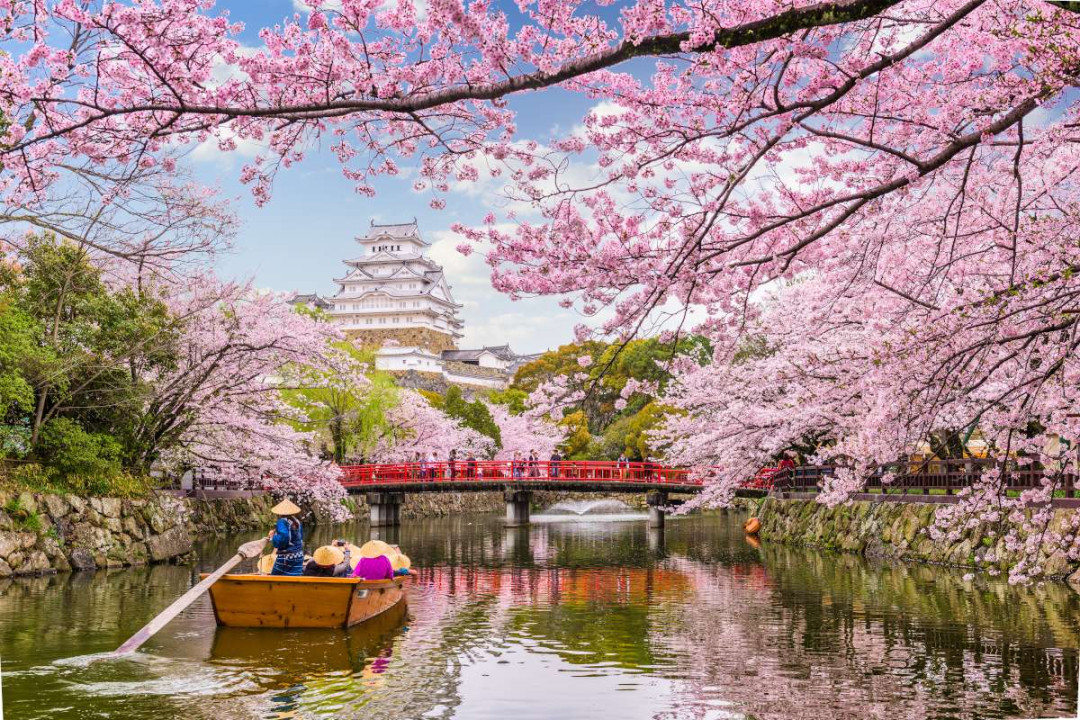 Places to Enjoy the Flowers of Spring Places to Enjoy the Flowers of Spring