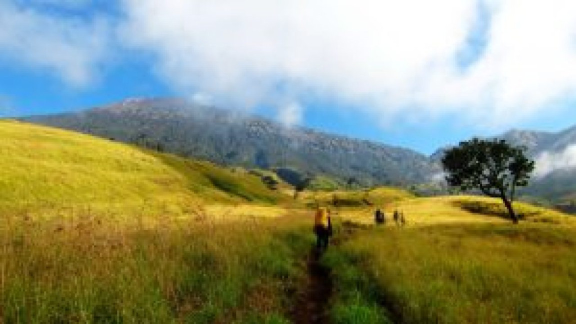 Sabana di Indonesia yang Indah dan Memukau - TempatWisataUnik Sabana di Indonesia yang Indah dan Memukau - TempatWisataUnik