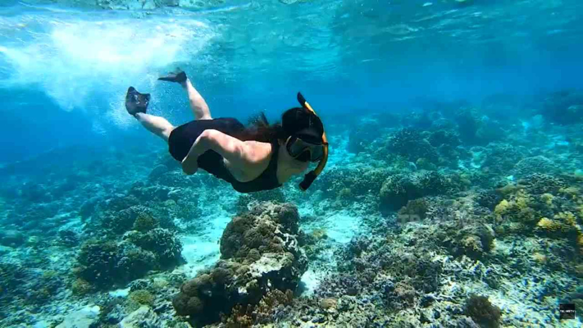 Spot Snorkeling Terbaik Di Indonesia Yang Wajib Disambangi Spot Snorkeling Terbaik Di Indonesia Yang Wajib Disambangi
