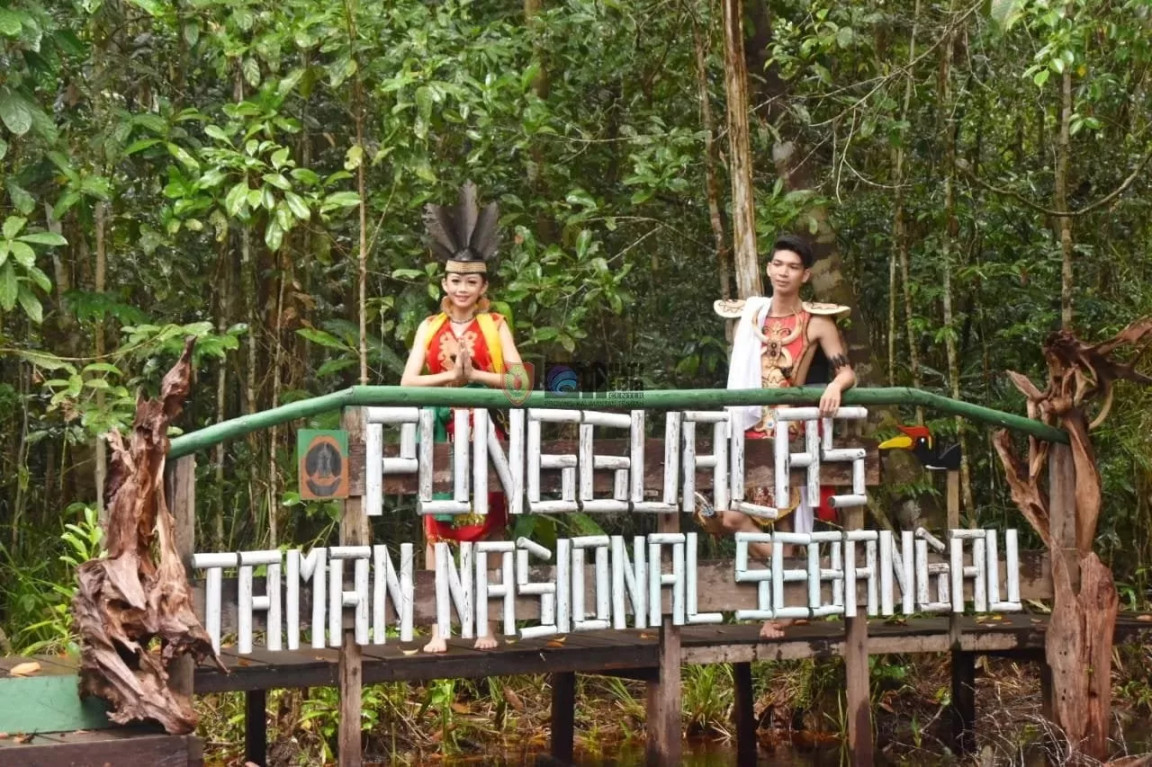 Taman Nasional Sebangau Sebagai Tempat Wisata Yang Menyajikan Taman Nasional Sebangau Sebagai Tempat Wisata Yang Menyajikan