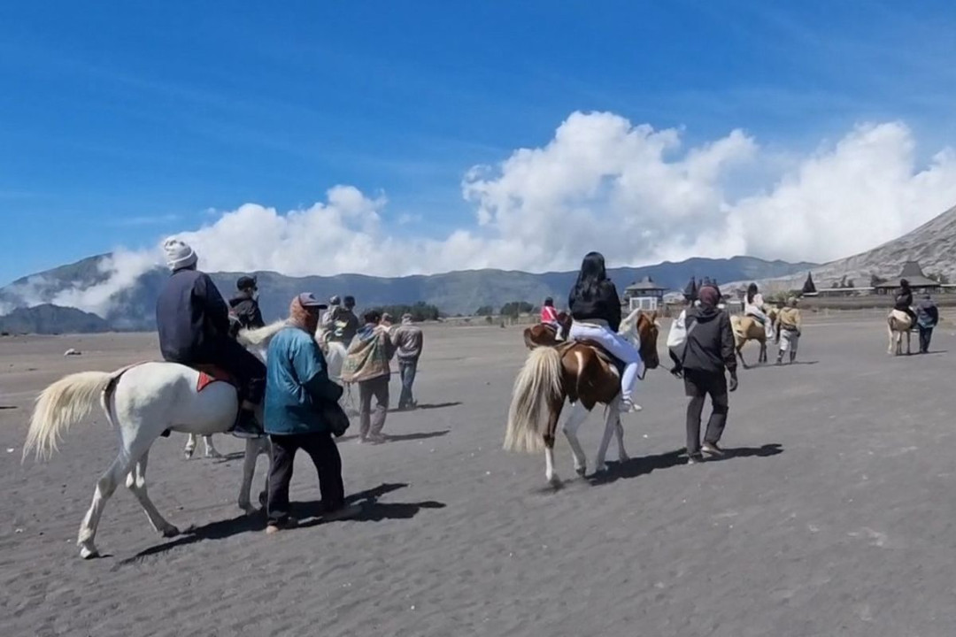 Tarif Sewa Kuda ke Kawah Gunung Bromo, Tak Perlu Jalan Jauh Tarif Sewa Kuda ke Kawah Gunung Bromo, Tak Perlu Jalan Jauh