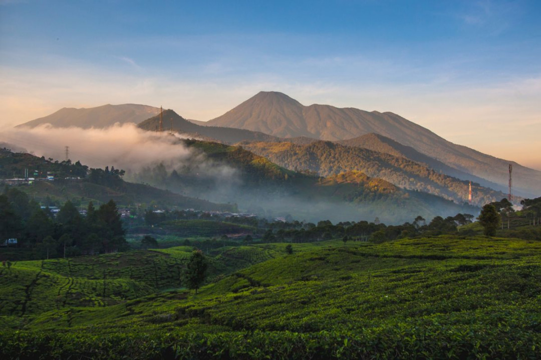 Tempat Wisata di Sekitar Gunung Gede Pangrango, Ada Little Tempat Wisata di Sekitar Gunung Gede Pangrango, Ada Little