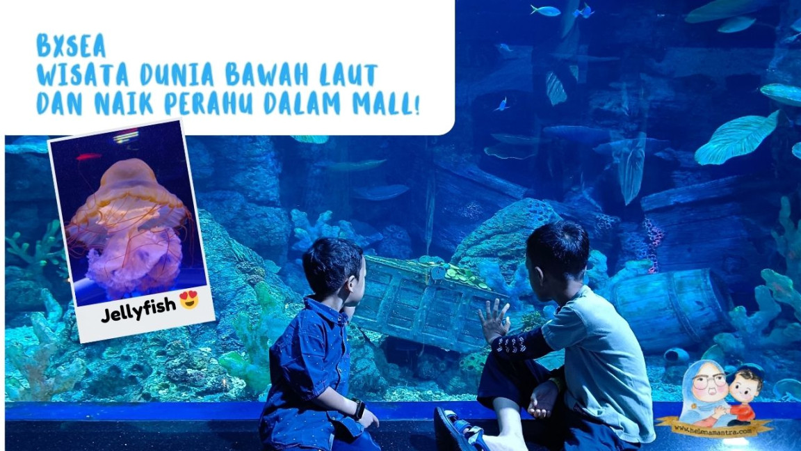 BXSea Wisata Dunia Bawah Laut Sampai Naik Perahu di Dalam Mall BXSea Wisata Dunia Bawah Laut Sampai Naik Perahu di Dalam Mall