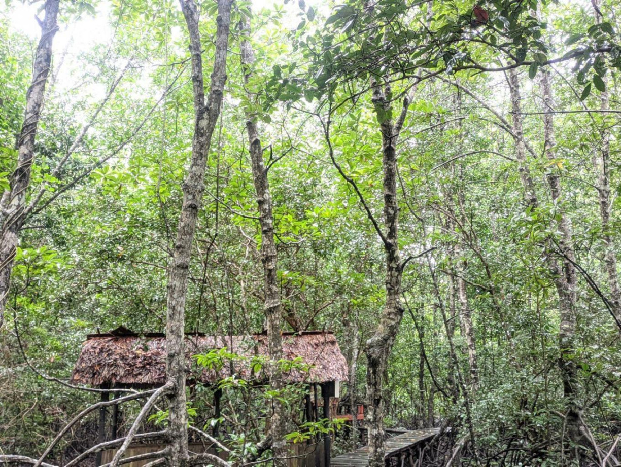 Desa Wisata Wisata Edukasi Mangrove Sungai Bersejarah Desa Wisata Wisata Edukasi Mangrove Sungai Bersejarah