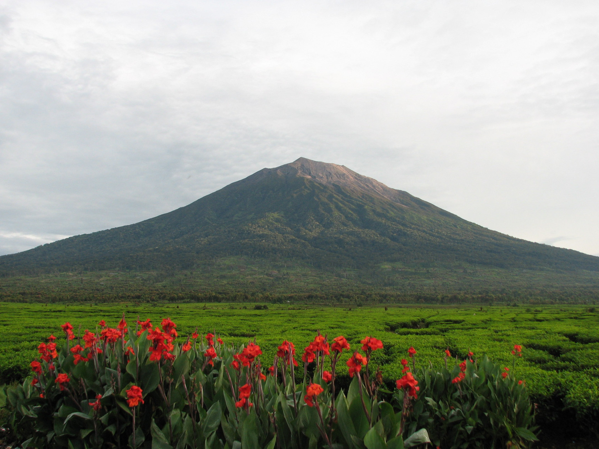 Mount Kerinci - Wikipedia Mount Kerinci - Wikipedia