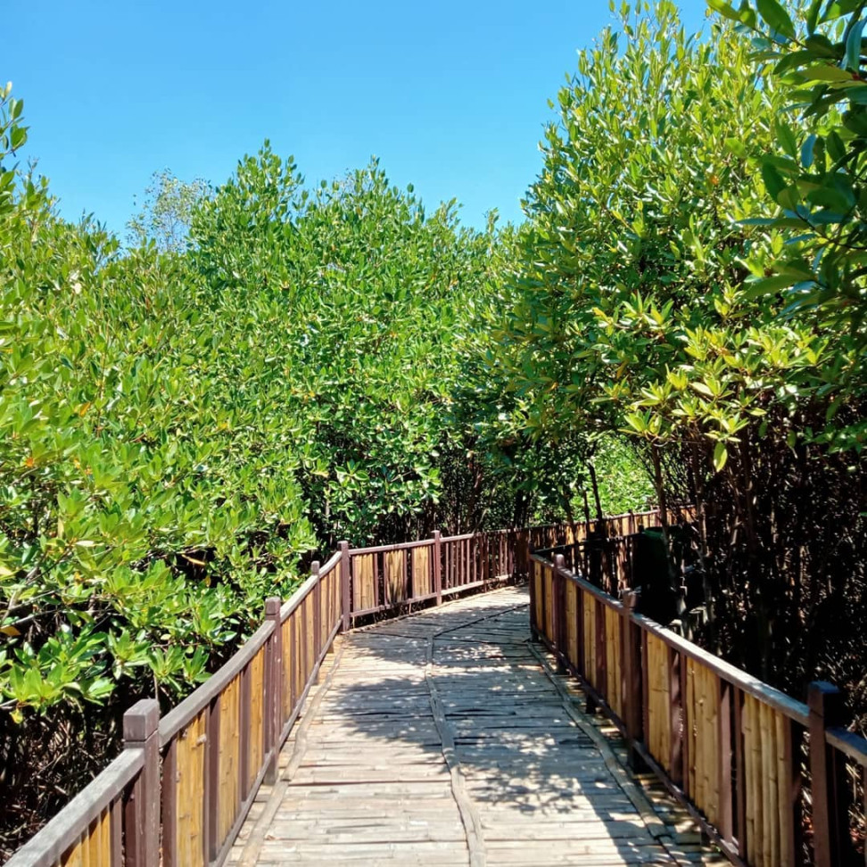 Pemanfaatan Wisata Edukasi: Pengelolaan Hutan Mangrove sebagai Pemanfaatan Wisata Edukasi: Pengelolaan Hutan Mangrove sebagai