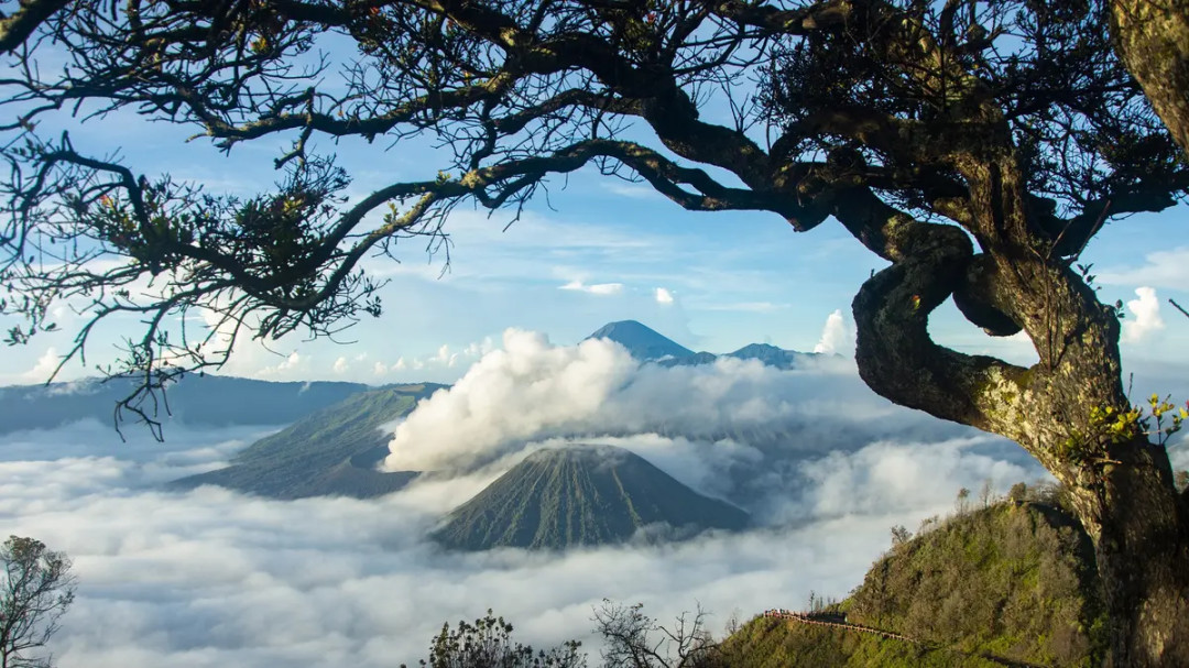 Wisata Gunung di Jawa Timur Terpopuler, Destinasi Wajib Para Wisata Gunung di Jawa Timur Terpopuler, Destinasi Wajib Para